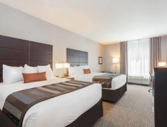 Wingate By Wyndham Downtown/medical Center Hotel